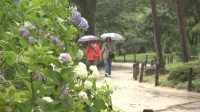 関東甲信いよいよ梅雨入り　横浜では“降れば降るほどお得”な割引きキャンペーン始まる！雨で遠のく客足確保の秘策に！？