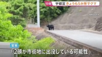 クマ目撃相次ぐ栃木・宇都宮市 9日も朝から5か所で…「2頭が市街地に出没の可能性」市内すべての市立小中学校が休校、厳戒態勢続く