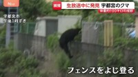 宇都宮のクマ捕獲　オスの成獣で体長1m超・体重100キロ近く　住民「無事捕獲されて良かった」