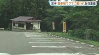 岩手で女性（48）がクマに襲われ大けが 顔を骨折　神社の駐車場で車から降りたところで　花巻市