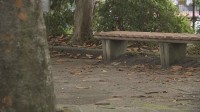 「最低が15万円」ChatGPTに相談して元交際相手の男子高校生から現金を脅し取ろうとした疑い　女子高校生ら少年少女5人を逮捕