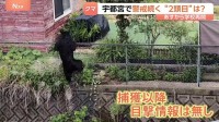 1頭捕獲も2頭目の可能性は？クマ警戒続く栃木・宇都宮　捕獲から目撃情報なしも専門家は「同一個体か判断しづらい」 小中学校ではあすから通常登校