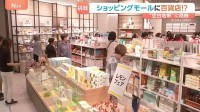 イオンの超大型ショッピングモールの中に「そごう・西武」？ 閉店相次ぎ“百貨店空白地帯”が拡大 「ミニ百貨店」に商機