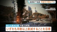 首都直下地震 1万8000人想定の最大死者数「半減」へ　政府が基本計画改定　感震ブレーカー設置率など目標設定 遅れには「勧告権」使用も