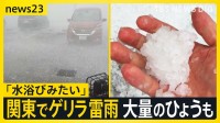 関東各地でゲリラ雷雨…埼玉では大量のひょうも　土曜日も関東から北海道にかけて雷雨のおそれ…天気急変に注意【news23】