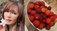 【 工藤静香 】　赤く実った「山桃」の収穫を報告　こだわりの手作りピクルスやハーブ炭酸水にファンから「お洒落」「何でもある」と絶賛の声