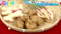 「生」と「加熱後」で効果に違いが！？夏こそ食べたい『生姜』の魅力【ひるおび】
