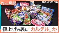 「やむを得ない値上げ」と説明も…アイス値上げの裏でカルテル疑惑　明治やロッテなど6社に公取委が立ち入り検査【Nスタ解説】