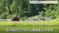 助け呼ぶ声、「クマが覆いかぶさっていた」80代男性が顔や足など大けが　石川・小松市岩渕町　クマは山へ逃走