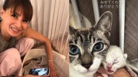 【 吉川ひなの 】保護猫が5匹の仔猫を出産「奇跡の瞬間を見せてくれてありがとう」子どものバースデーと偶然重なる