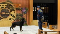 羽田空港で違法薬物に注意喚起　今月26日の「国際麻薬乱用撲滅デー」を前に