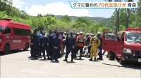 クマに背中を引っかかれ、両足かまれる　八甲田山系でタケノコ採りの70代女性けが　青森県内での人的被害は今年初