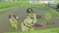 大谷翔平選手が投げる姿と愛犬デコピンが浮かびあがる　田んぼアートまもなく見ごろ　岩手・奥州市
