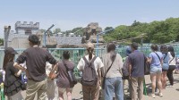 パンチくんを狙いサル山にレーザーポインターを照射　市川市動植物園