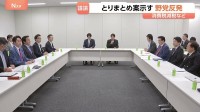 一致点を見いだせるか？ とりまとめ案に野党猛反発　消費税減税・給付付き税額控除めぐる国民会議　財源示されず…次回会議で政府側が案提示へ