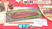 今年はお得！うなぎ500円値下げ！サクランボは「去年の半額」に？