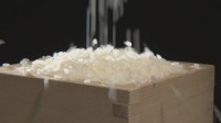 コメ価格5キロあたり3590円　5週ぶり値上がりも農水省「値下がりの傾向は続いている」