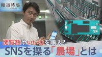 “人為的にバズらせる” SNS操る「農場」ビジネスを取材　「テスト」と書かれただけの投稿が6分で100万回表示… 選挙で悪用の懸念も【報道特集】