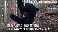クマの個体数　全国統一の手法で初調査　800台以上のカメラを設置しクマの胸の模様で個体を識別　きょうから