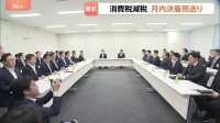 食料品の消費税減税 月内の決着見送り 「実質ゼロ化」案に野党反発で議論膠着