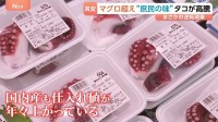 【タコ異変】マグロを超える高値に！国産も高騰で価格の「逆転現象」