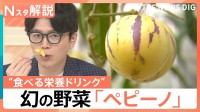 「日本では幻の果実」メロン？洋梨？野菜なのに甘い“食べる栄養ドリンク”と注目の新野菜「ペピーノ」【Nスタ解説】