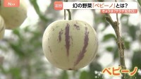 「食感も弾力あって野菜ではあまりないような味」　幻の野菜「ペピーノ」とは？ メロン？トマト？洋梨？注目度が上昇中！ 7月6日は“サラダ記念日”です