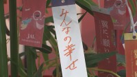 「CAさんになりたいです」羽田空港で七夕イベント　保育園児らが願いを込めた短冊　国内外89空港に“七夕の笹”