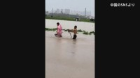 中国・広西チワン族自治区で多数のヘビが脱走　かまれた女性が死亡　台風10号の豪雨で洪水発生