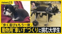 「歩く喜びをもう一度」動物用の“車いす”づくりに挑む大学生　オリジナルパーツで試行錯誤重ね製作「作っては改良」【news23】