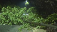 台風9号 中国・浙江省に上陸 警戒呼びかけ　台湾でも113人けが　フィリピンでは土砂崩れや洪水 17人死亡