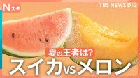“夏の王道味覚対決”スイカVSメロン　選ぶならどっち？268人に調査【それスタ】
