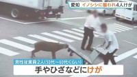 イノシシが男性に襲いかかる様子がカメラに…愛知・豊田市の給食会社で50代と60代くらいの男性従業員2人がけが