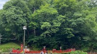 世界遺産「日光の社寺」神橋の近くでクマ目撃　けが人なし