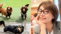 【 氷川きよし 】「親バカですんません」朝から走り回る愛犬たちとの日常を投稿「毎日、溺愛してます」