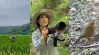 【 磯野貴理子 】　「きり田んぼ」の草取り作業を報告「地味な作業だけど一番大事！」