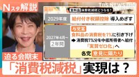 議論進まぬ消費税減税…総理「8月頭でも間に合う」 17日に会期末 積み残した重要法案どうなる？【Nスタ解説】