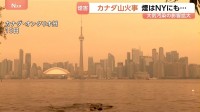 カナダで山火事160件超　街は煙でオレンジに…トロントなどで“大気汚染警報”　危険度は最高の「10+」　隣接の米NYでも注意報