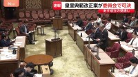 皇室典範改正案が参院特別委で可決 あす17日成立の見通し 「形骸化した国会審議に強い違和感」と異論