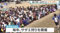 「10個以上とるぞ オー」夏の思い出作りに「サザエ狩り」開催　撒かれたサザエは約3000個　静岡・松崎町