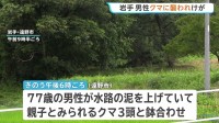 「クマに襲われた」田んぼ水路で作業中の男性（77）がクマ3頭と鉢合わせ　成獣とみられるクマに襲われけが　岩手・遠野市