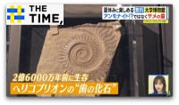 泳ぎ出しそうなほどリアルな“化石の水族館”…夏休みに無料で楽しめる大学博物館【THE TIME,】