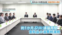 「国民会議」が食料品の消費税減税に向けた議論再開　各党で意見の隔たり埋まらず