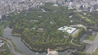 【速報】皇族数確保に向けた改正皇室典範が公布　3か月後に施行
