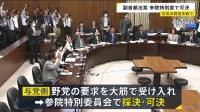 「副首都法案」与党の賛成多数で可決 参議院特別委員会　与党側は参議院本会議で成立目指す