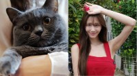 【 ねこ 】斎藤恭代「#愛おしいが止まらない」愛猫〝ルナ〟にメロメロ　お腹見せ抱っこに余裕の表情でご満悦