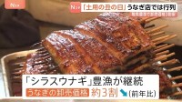 「土用の丑の日」うなぎ卸売価格は3割安　稚魚「シラスウナギ」豊漁で　うなぎ店では行列　約1200枚仕込みも夕方には売り切れ