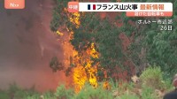 真っ黒に焼けた集落…フランス・ボルドー近郊の山火事、威力の大きさ物語る現場　一連の火事で消防士2人死亡