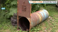 岩手・雫石町 わなにかかったクマを溺死で駆除「苦渋の判断だった」…県が町を注意　SNSで情報拡散し町には抗議電話も
