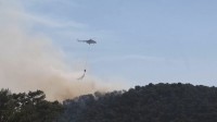 ギリシャで山火事が相次ぎ消防士3人が死亡　4度目の熱波襲来で首都アテネでも山火事リスク高まる